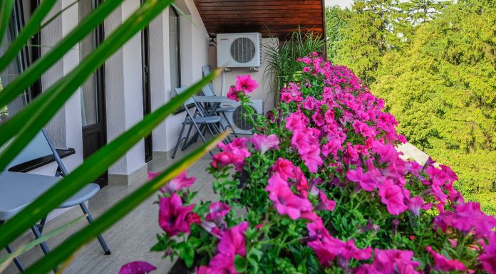 Cazare la Pensiunea Villa Alice Suceava